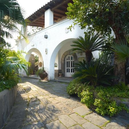 B&B Villa Regine Forio di Ischia Exteriér fotografie