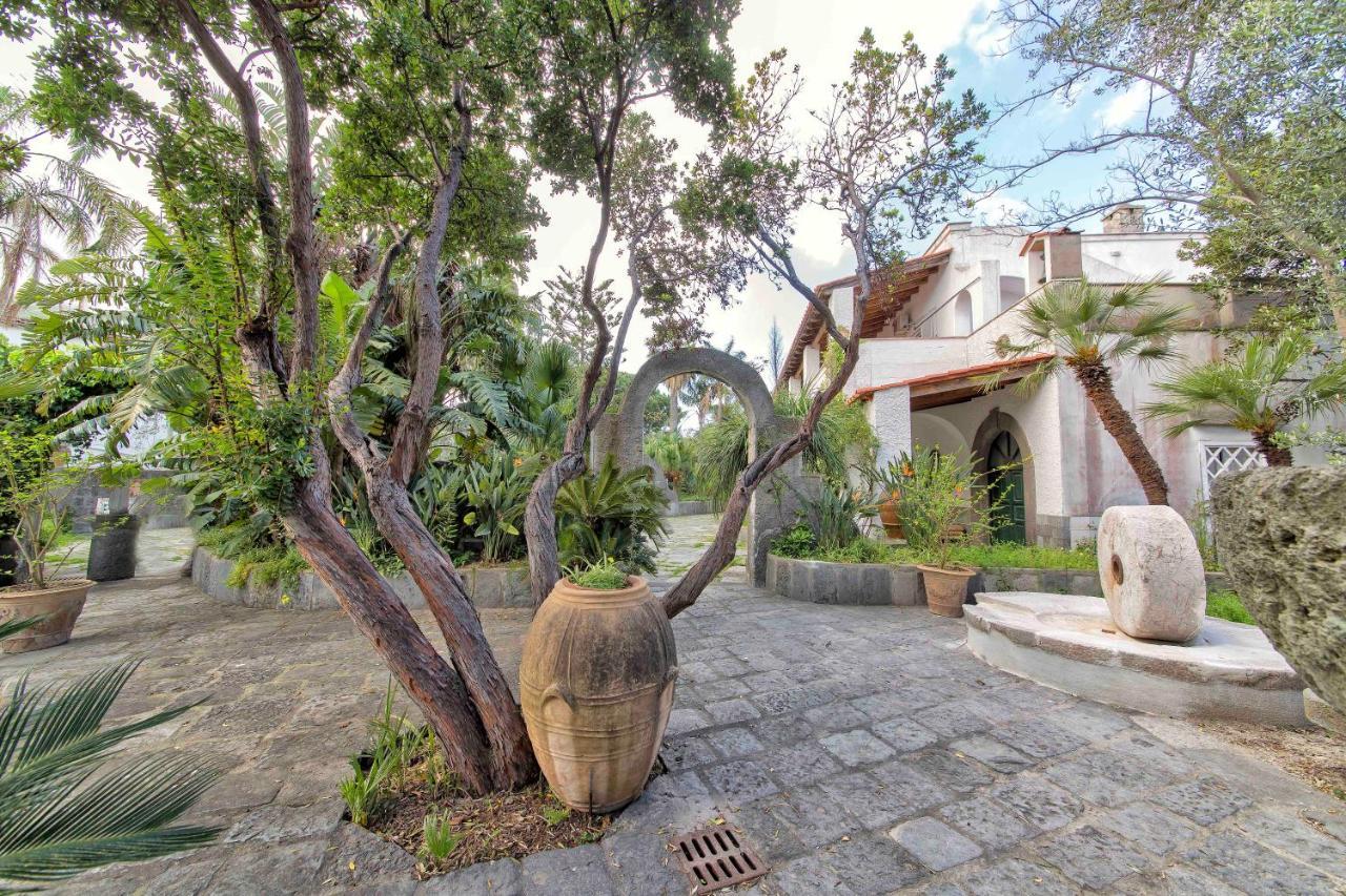 B&B Villa Regine Forio di Ischia Exteriér fotografie