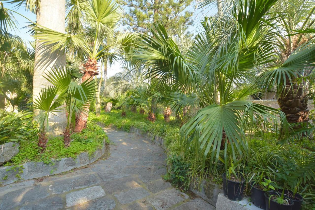 B&B Villa Regine Forio di Ischia Exteriér fotografie